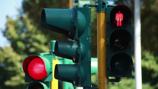 Последовательность светофоров — стоковое видео