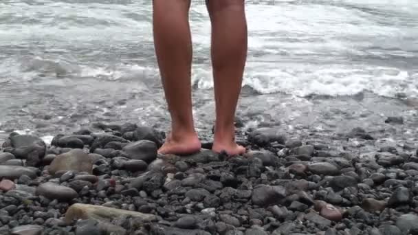 Un type debout sur une plage de pierre — Video