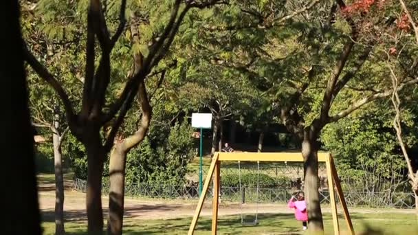 Girl riding on the swing — Stock Video