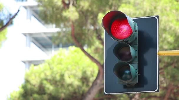 Traffic light sekvens — Stockvideo