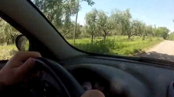 Οδήγηση μέσα σε ένα αυτοκίνητο — Αρχείο Βίντεο