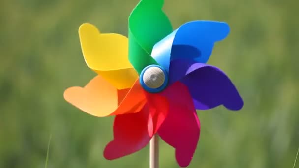 Colorful windmill in a field — Stock Video