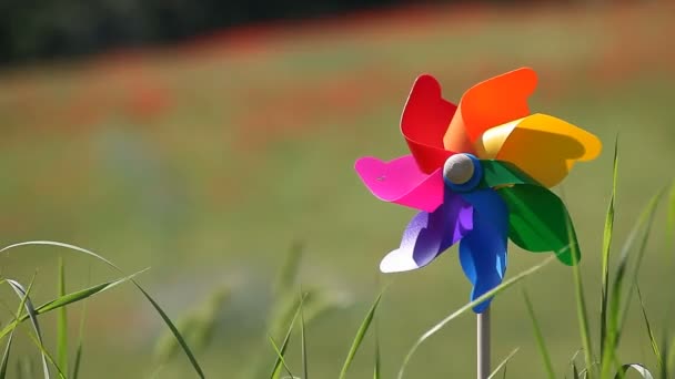 Colorful windmill in a field — Stock Video