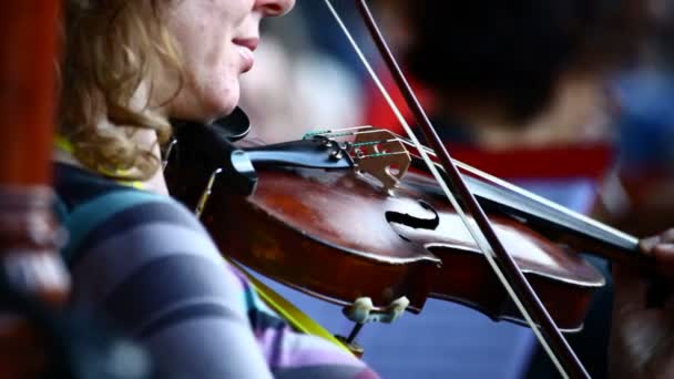 Symphonieorchester beim Konzert — Stockvideo