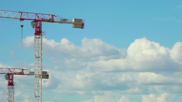 Crane on clouds background — Stock Video