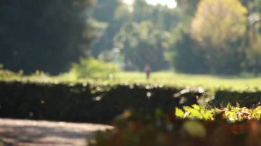 Villa Ada Park insanlara