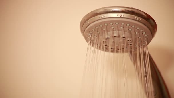 Shower head with water — Stock Video