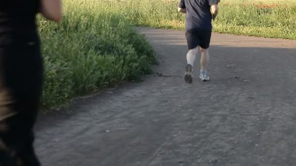 Jogging in the park — Stock Video