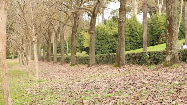 Jogging dans le parc 