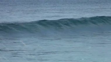 Dalgalarda yüzen sörfçü