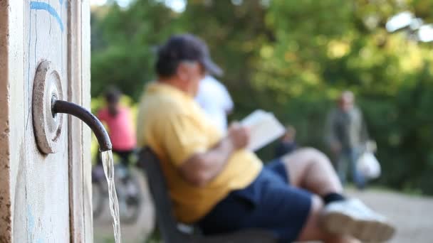 Trinkbrunnen im Park — Stockvideo