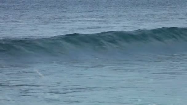 Surfista nadando nas ondas — Vídeo de Stock