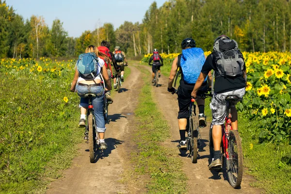 Bicicletas en la naturaleza Imagen De Stock