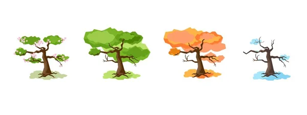 Baum in vier Jahreszeiten - Frühling, Sommer, Herbst, Winter. Vektorillustration. Baumgruppe. Einfache Form, flacher Stil — Stockvektor