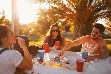 Bir grup arkadaş doğada bir masada kadeh kaldırıyor. Bir grup arkadaş piknik alanında