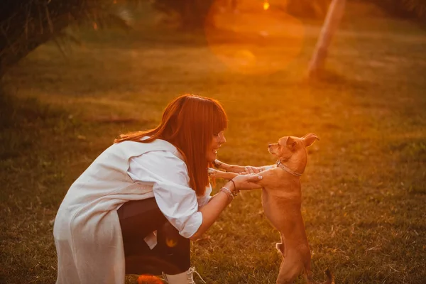 Mujer Pelirroja Con Perro Parque Mujer Con Mascota Naturaleza — Foto de Stock