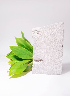 Çimento taşı ve yeşil doğal yapraklarla dolu bir yaşam tarzı. Modern fotoğraf. Beyaz arka plan. Dokulu duvar kâğıdı. Doğal afiş. Yüksek kalite fotoğraf