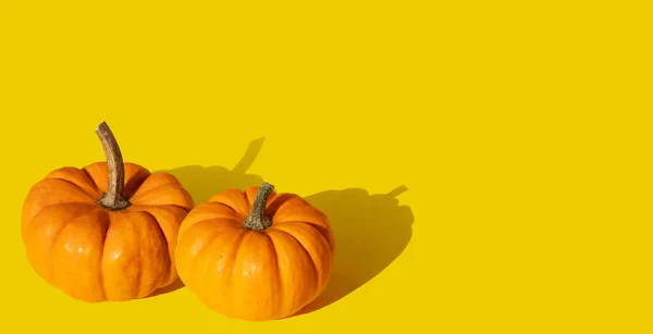 Dvě Dýně Oranžovém Pozadí Podzimní Prapor Dýněmi Recept Sezónní Kurz — Stock fotografie
