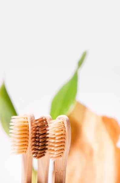 Zero Waste Toothbrushes Eco Natural Background Cement Green Leaf Cross — Stock Photo, Image