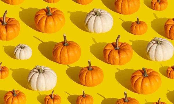 Bílé Oranžové Dýně Bezešvé Vzor Oranžovém Pozadí Vzor Díkůvzdání Podzimní — Stock fotografie