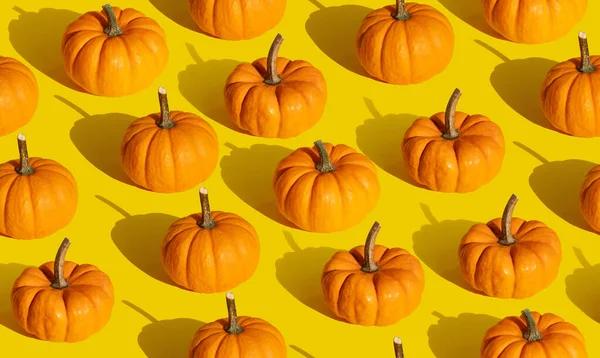 Dýně Bezešvé Vzor Oranžovém Pozadí Vzor Díkůvzdání Podzimní Tapeta Podzim — Stock fotografie