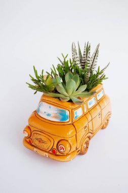 Turuncu seramik tencereye ekilmiş farklı tipte sulu çiçek bileşimi. Araba şeklindeki seramik saksıda bitkiler var. Modern botanik arka plan ya da duvar kağıdı. Ekolojik afiş veya poster