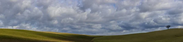 Landscape Tree Clouds Tuscany — Stock Photo, Image