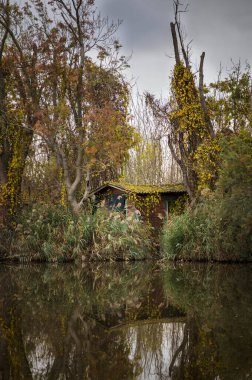 Massaciuccoli Gölü Bataklığı