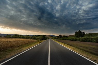 Toskana manzarasında yol