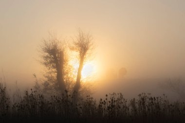 Şafakta turuncu sisli Toskana manzarasının ayrıntıları