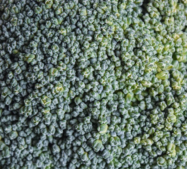 Broccoli texture of a mint green color.