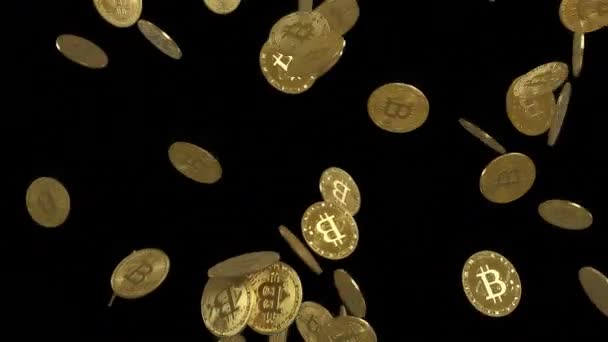 Золотые монеты падают. 3D анимация. — стоковое видео