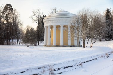 Kış parkında akşam. Pavlovsk, St. Petersburg civarında. Rusya