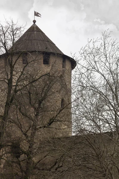 Régi Ivangorod fortress torony — Stock Fotó