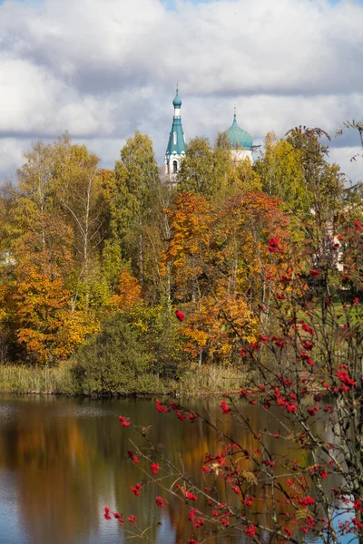 On the shore of a lake in autumn — Stock Photo, Image