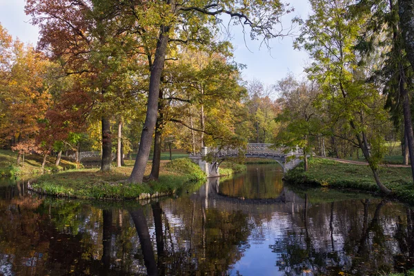 Parque de outono com rio — Fotografia de Stock