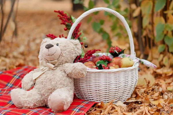 Bir sepet yakınındaki bir halı üzerinde bir oyuncak ayı Teddy oturur — Stok fotoğraf