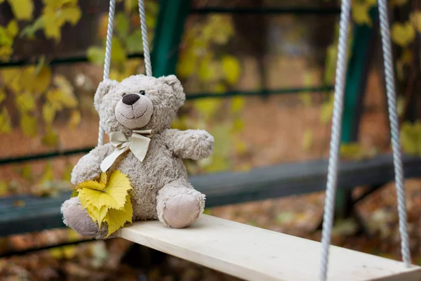 bir oyuncak ayı Teddy bir salıncağa oturur
