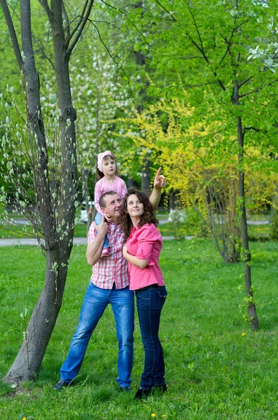 Familia feliz juega una parka con un niño —  Fotos de Stock