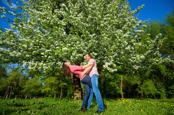 Um abraço de homem e mulher sob a coroa da árvore florida — Fotografia de Stock