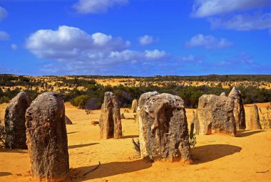 Pinnacles, Nambung Ulusal Parkı, Cervantes, Batı Avustralya, Avustralya