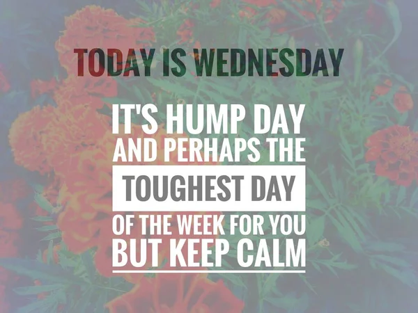 Image Wordings Quotes Wednesday Hump Day — Stock Photo, Image