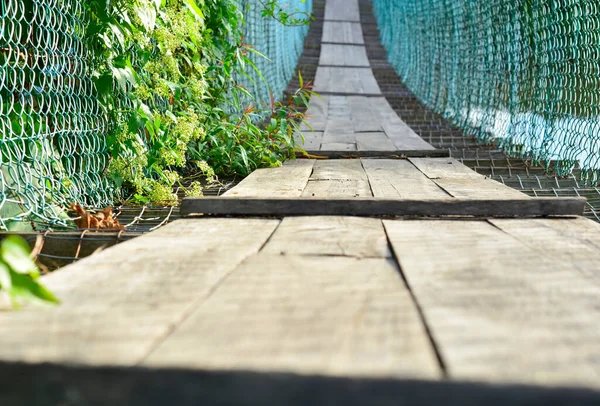 Asma köprü yeşil çalılarla dolu ve zincirli tel örgülerden yapılma Penampang, Borneo, Sabah, Malezya kırsalında yol için kontraplaktan yapılmış.. 