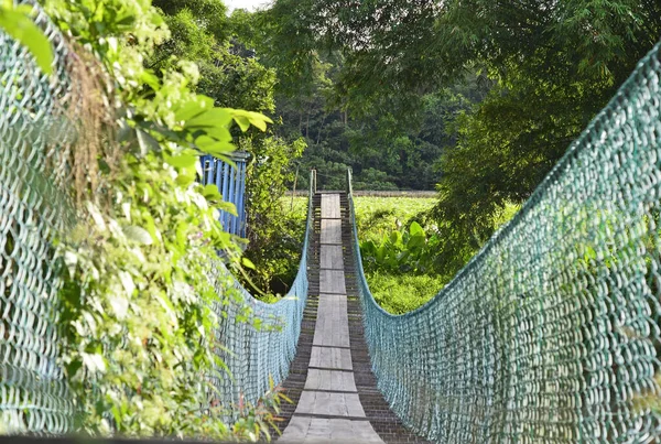 Puente Colgante Lleno Arbustos Verdes Hecho Cerca Eslabones Cadena Madera — Foto de Stock