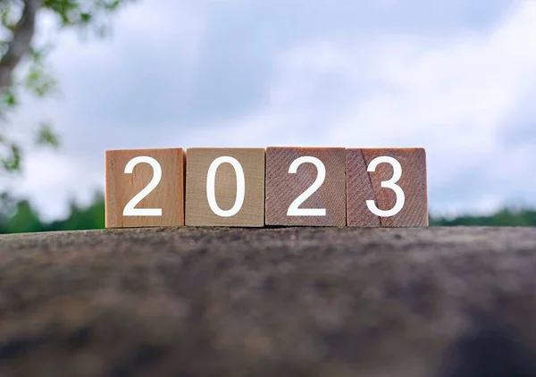 2023 Nombre Sur Bloc Bois Sur Dessus Grande Pierre 2022 — Photo