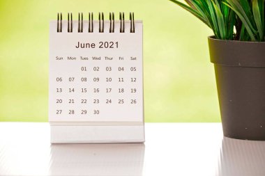 Beyaz Haziran 2021 takvimi yeşil arkaplan ve saksı bitkisi