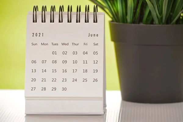Белый календарь июня 2021 года с зеленым фоном и растением в горшке — стоковое фото