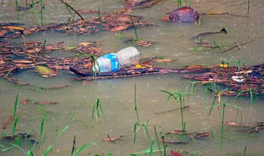Boş bir plastik şişe, sel sırasında suyun üzerinde yüzer. Çok kirli su.