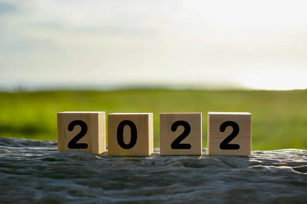 2022 number on wooden cube block on old tree stump with blurred background of green grass ocean and sunset