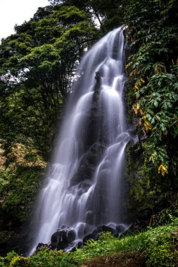 Caldeiros Parkı 'nda İpek Etkisi